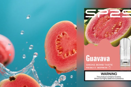 SP2S MAX 購買攻略：新手第一套設備該買主機還是組合包？