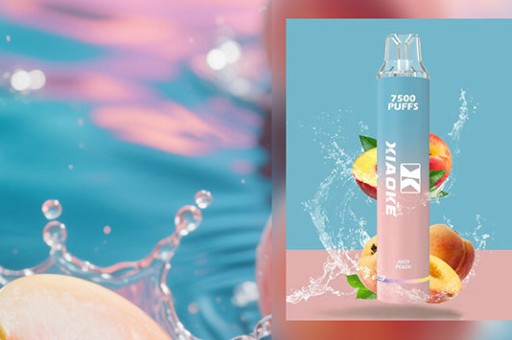 臺灣《菸害防制法》修正案：Lana Zolt 8000 的法律定位