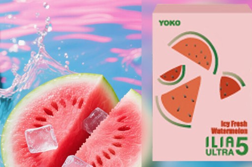 為什麼 LANA Zolt 二代在 Dcard 這麼火？優點分析